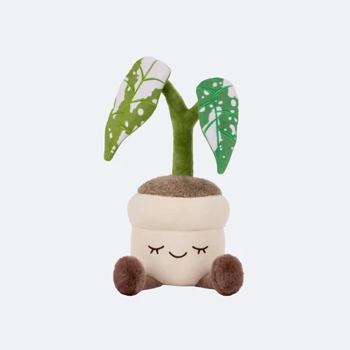 Greenhouse Product 2