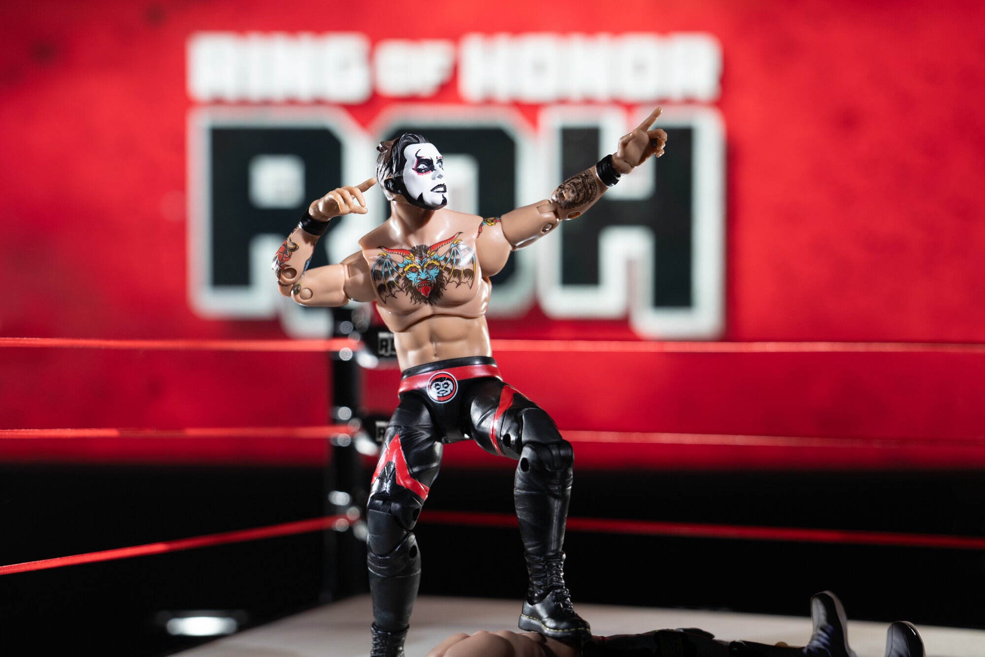Ring of Honor Danhausen - Image 11