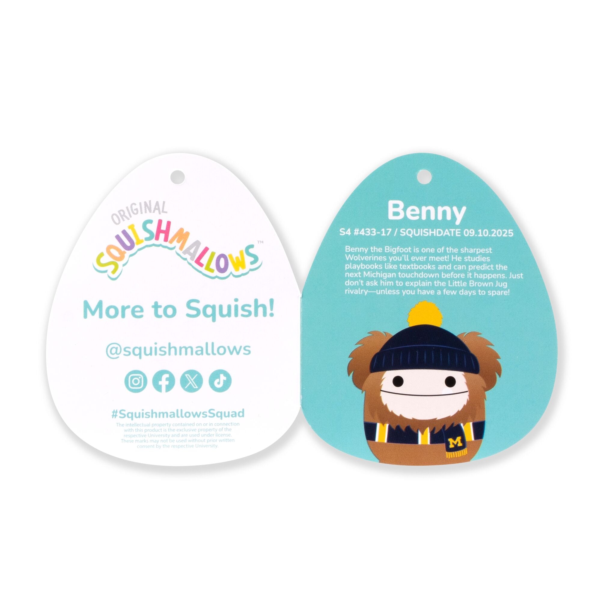 University of Michigan 12-Inch Benny the Bigfoot - Image 7