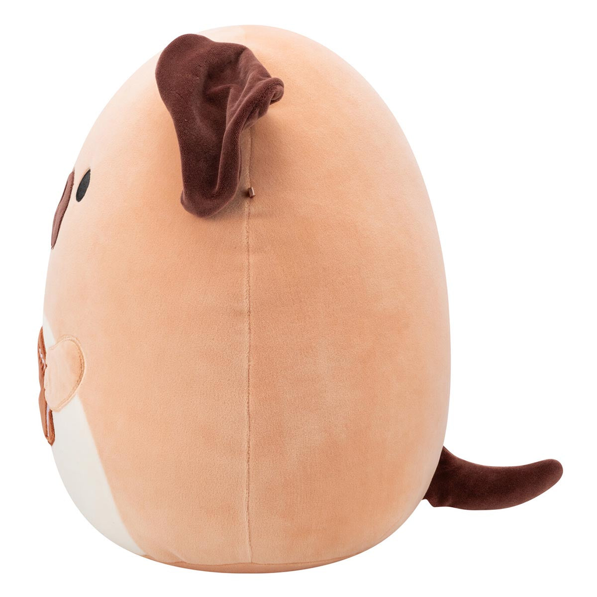 14-Inch Daryl the Brown Dog Holding Football - Image 3