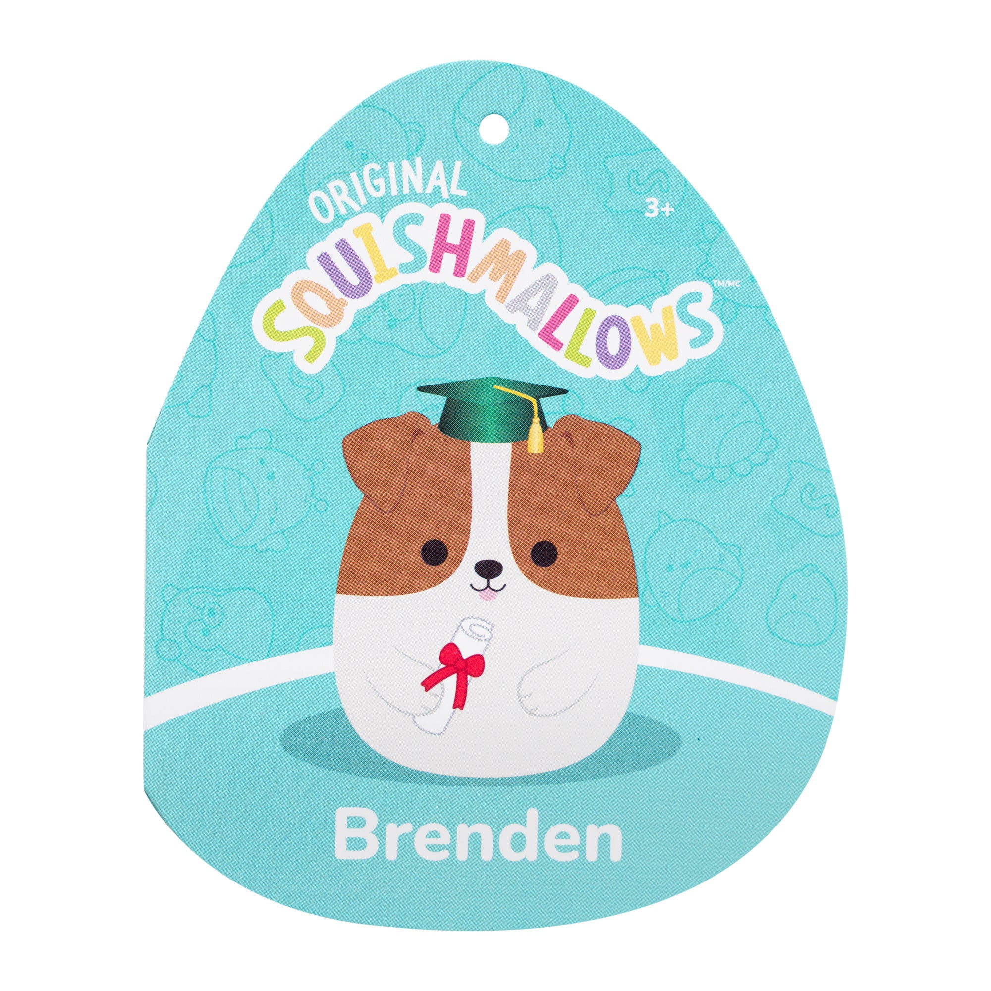 12-Inch Brenden the Jack Russell Terrier in Graduation Cap - Image 5